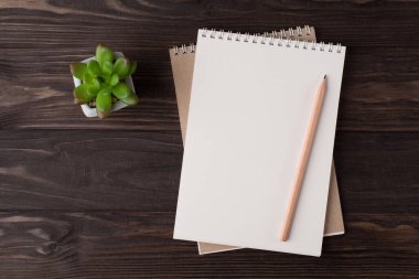 Tepedeki düz görünümde boş bir defterin, tahta kalemin ve ahşap arka planda izole edilmiş sulu bir kalemin fotoğrafı yer almaktadır.