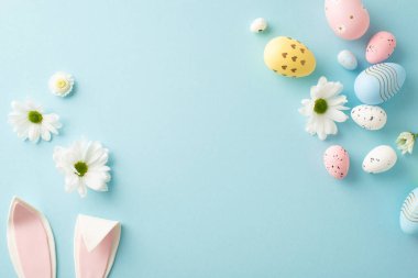 Paskalya hayal gücü kurulumu: Renkli yumurtaların üst görüntüsü, sevimli tavşan kulakları, ve pastel mavi arka planda papatya çiçeği kümeleri, yazmak veya reklamlar için açık bir alan