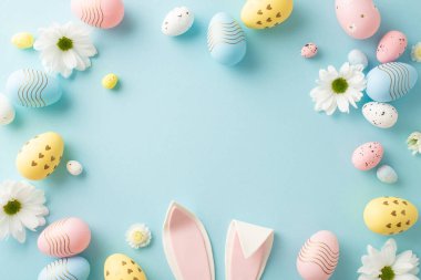 Paskalya sanatı konsepti: canlı yumurtaların üst görüntüsü, büyüleyici tavşan kulakları ve yumuşak mavi bir yüzey üzerinde kasımpatı tomurcukları, mesaj veya reklam için yer bırakırlar.