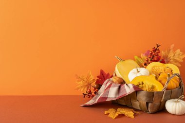 Şükran Günü hasadını vurgulayan kabak, balkabağı ve su kabaklarıyla gösterişli bir manzara.