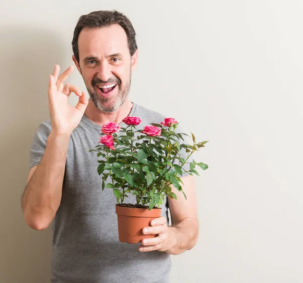 Senior man holding roses flowers on pot doing ok sign with fingers, excellent symbol