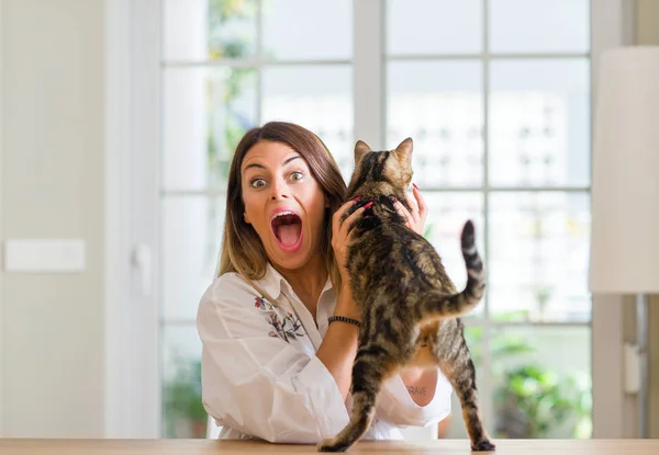 若い女性家で叫んで笑顔で勝利を祝って彼女の猫非常に幸せと興奮 受賞式で遊んでいると手を上げた — ストック写真