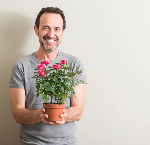 Senior man holding roses flowers on pot with a happy face standing and smiling with a confident smile showing teeth