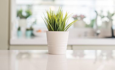 Mutfak masasında evde güneşli bokeh arka plan ile güzel dekoratif bitki