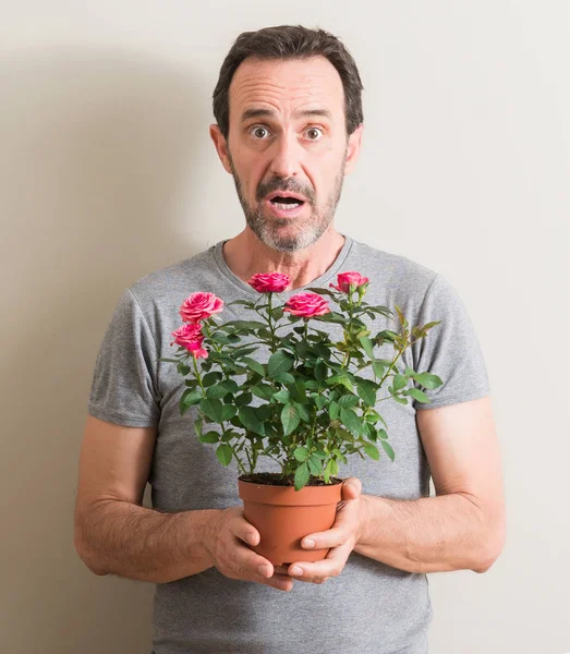Senior man holding roses flowers on pot scared in shock with a surprise face, afraid and excited with fear expression