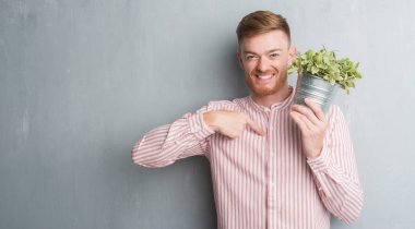 Genç Kızıl saçlı adam bitki pot sürpriz yüz işaret parmağı kendisine tutan gri grunge duvarın üzerinden