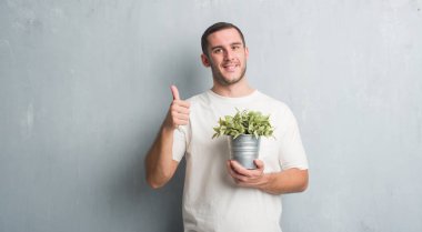 Beyaz delikanlı bitki pot büyük ile mutlu tutarak gri grunge duvarın üzerinden ok işareti yaparken gülümse, parmaklarıyla, mükemmel işareti başparmak