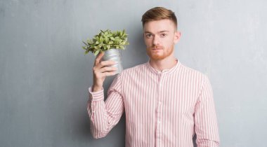 Genç Kızıl saçlı adam akıllı yüzünde ciddi düşünme emin bir ifade ile bitki pot holding gri grunge duvarın üzerinden