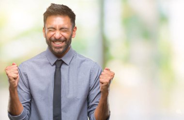 Yetişkin İspanyol iş adamı izole arka kolları olan başarı için heyecan üzerinde zafer kutluyor gülümseyen kaldırdı. Kazanan kavramı.