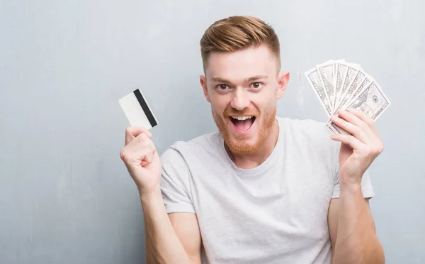 Homem Ruivo Jovem Segurando Dólares Cartão Crédito Muito Feliz Animado — Fotografia de Stock