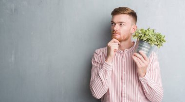 Genç Kızıl saçlı adam bitki pot ciddi bir yüz düşünme hakkında soru, çok karışık fikir tutan gri grunge duvarın üzerinden