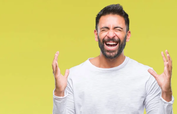 Hombre Hispano Adulto Sobre Fondo Aislado Celebrando Loco Loco Por —  Fotos de Stock