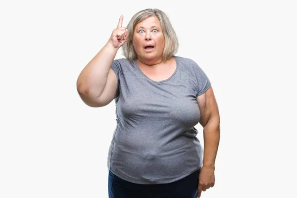 Senior Size Kaukasisk Kvinna Över Isolerade Bakgrund Pekar Finger Med — Stockfoto