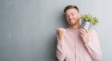 Genç Kızıl saçlı adam işaret ve başparmak kadar mutlu yüz gülümseyen tarafı ile gösteren bitki pot tutan gri grunge duvarın üzerinden