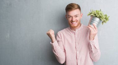 Duygu tezahürat genç Kızıl saçlı adam gurur çığlık ve zafer ve başarı çok heyecanlı, kutluyor bitki pot tutan gri grunge duvarın üzerinden