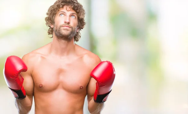 Bonito Homem Boxeador Hispânico Usando Luvas Boxe Sobre Fundo Isolado — Fotografia de Stock