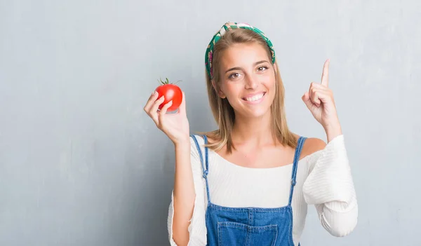 아이디어 신선한 토마토를 가리키는 손가락 — 스톡 사진