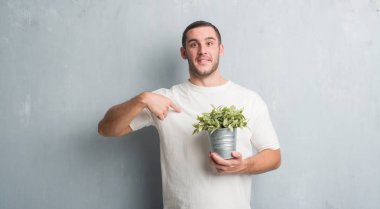 Bitki pot sürpriz yüz işaret parmağı kendisine tutan gri grunge duvarın üzerinden beyaz delikanlı