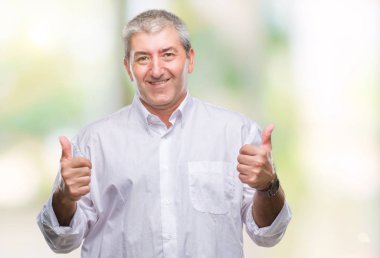 El ile pozitif jest yapıyor izole arka plan başarı işareti üzerinde üst düzey yakışıklı başparmak gülümseyen ve mutlu. Neşeli bir ifadeyle, kazanan jest kameraya bakıyor.