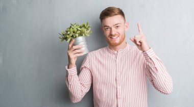 Genç Kızıl saçlı adam bitki pot sürpriz bir fikir ya da soru işaret parmağı ile gülen yüz, bir numara tutarak gri grunge duvarın üzerinden