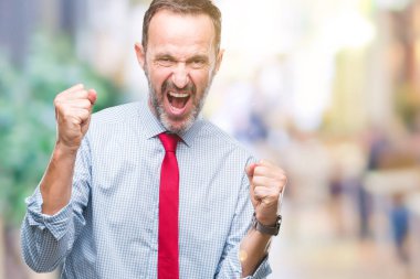 Gülümseyen ve başarı için çığlık çok mutlu ve heyecanlı kaldırdı, silah ile kazanan jest yapıyor izole arka plan üzerinde kırmızı kravat giyen orta yaş ağarmış üst düzey iş adamı. Kutlama kavramı.