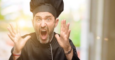 Üst düzey aşçı adam, stresli Chef şapka kafasına, panik içinde dehşete ellerini tutmak, bağırarak