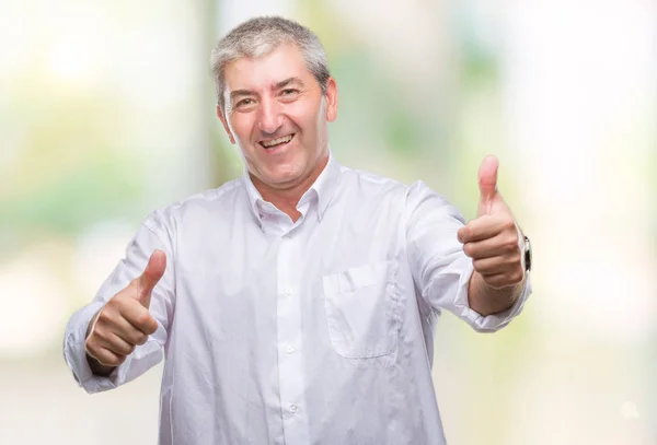 Bonito Homem Sênior Sobre Fundo Isolado Aprovando Fazer Gesto Positivo — Fotografia de Stock