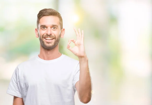 Young Handsome Man Isolated Background Smiling Positive Doing Sign Hand — Stock Photo, Image