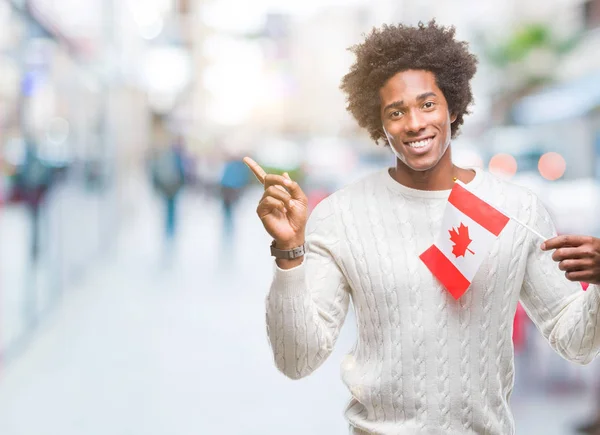 Drapeau Afro Américain Canada Sur Fond Isolé Très Heureux Pointant — Photo