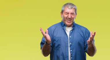 Kızgın ve silah ile başarı için deli kutluyor izole arka plan üzerinde üst düzey yakışıklı kaldırdı ve heyecanlı çığlık gözler kapalı. Kazanan kavramı