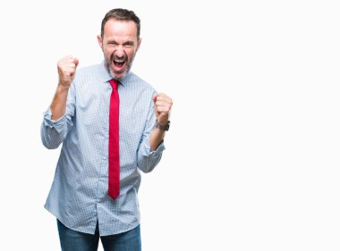 Gülümseyen ve başarı için çığlık çok mutlu ve heyecanlı kaldırdı, silah ile kazanan jest yapıyor izole arka plan üzerinde kırmızı kravat giyen orta yaş ağarmış üst düzey iş adamı. Kutlama kavramı.