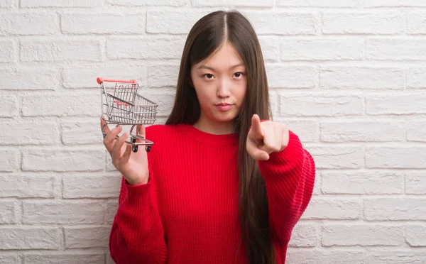Fiatal Kínai Több Mint Tégla Fal Gazdaság Kis Bevásárló Kosár — Stock Fotó