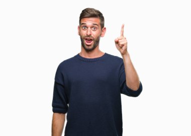 Genç yakışıklı adam başarılı fikirle izole arka plan işaret parmağı üzerinde kış kazak giyiyor. Çıktıktan ve mutlu. Bir numara.