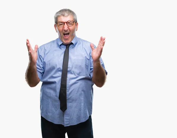 Handsome Senior Business Man Isolated Background Celebrating Mad Crazy Success — Stock Photo, Image