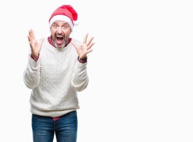 Orta yaş ağarmış komuta sizde Noel şapka üzerinde arka plan çılgın kutlama izole ve başarı için kaldırdı kollarını açarak hayrete ve heyecanlı çığlık gözleri açık. Kazanan kavramı