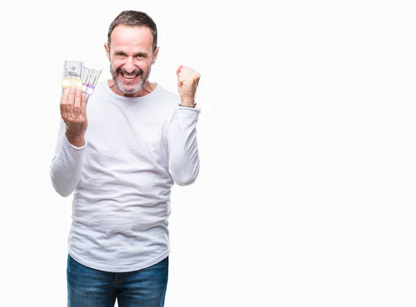 Senior Hoary Man Holding Buch Dólares Sobre Aislado Fondo Gritando —  Fotos de Stock