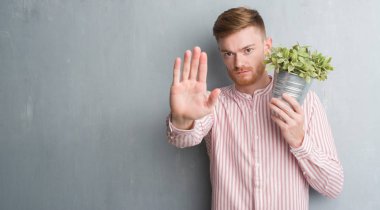 Gri grunge duvar açık eliyle dur işareti ile ciddi ve kendine güvenen ifade, savunma jest yapıyor bitki pot tutan genç Kızıl saçlı adam