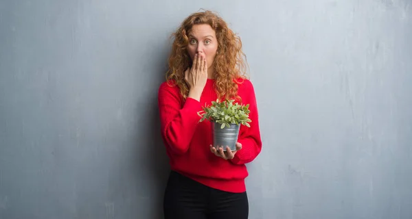 Giovane Donna Rossa Sopra Grigio Grunge Parete Tenuta Pianta Pot — Foto Stock