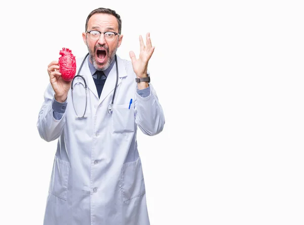 Middle Age Senior Hoary Cardiologist Doctor Man Holding Heart Isolated — Stock Photo, Image
