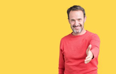 Tebrik ve konuksever dost sunan karşılıklı gülümseyen izole arka plan üzerinde kış kazak giymiş yakışıklı orta yaş ağarmış komuta sizde. Başarılı iş.