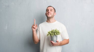 Bitki pot sürpriz bir fikir ya da soru işaret parmağı ile gülen yüz, bir numara tutarak gri grunge duvarın üzerinden beyaz delikanlı