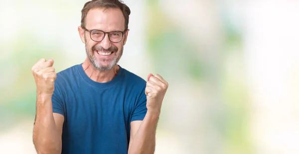 Handsome Middle Age Hoary Senior Man Wearin Glasses Isolated Background — Stock Photo, Image