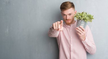 Genç Kızıl saçlı adam bitki pot kamera ve size, el işareti, pozitif ve kendinden emin bir jest ön parmak ile işaret tutan gri grunge duvarın üzerinden