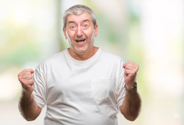 Handsome Senior Man Isolated Background Celebrating Surprised Amazed Success Arms — Stock Photo, Image