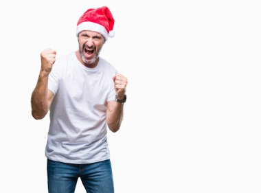 Gülümseyen ve başarı için çığlık izole arka plan çok mutlu ve heyecanlı kaldırdı, silah ile kazanan jest yapıyor üzerinde Noel şapka orta yaş ağarmış komuta sizde. Kutlama kavramı.