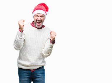 Gülümseyen ve başarı için çığlık izole arka plan çok mutlu ve heyecanlı kaldırdı, silah ile kazanan jest yapıyor üzerinde Noel şapka orta yaş ağarmış komuta sizde. Kutlama kavramı.