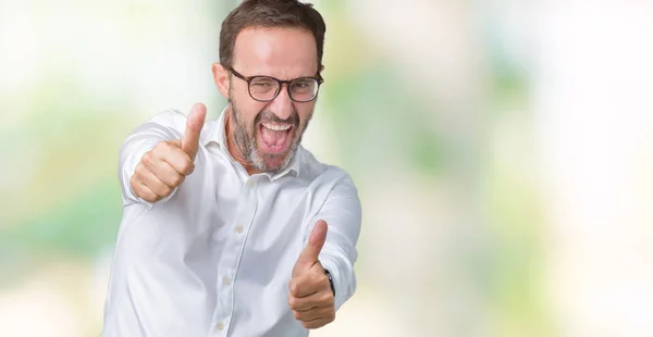 Handsome Middle Age Elegant Senior Business Man Wearing Glasses Isolated — Stock Photo, Image