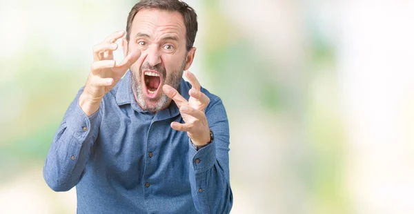 Guapo Mediana Edad Elegante Hombre Mayor Sobre Fondo Aislado Gritando — Foto de Stock