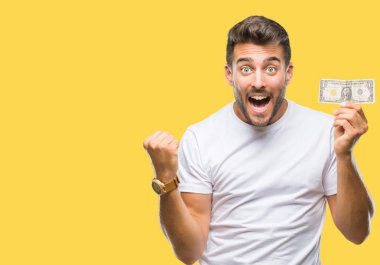 Duygu tezahürat gurur çığlık ve zafer ve başarı çok heyecanlı, kutluyor izole arka plan üzerinde dolar tutan genç yakışıklı adam