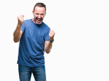 Gülümseyen ve başarı için çığlık orta yaş ağarmış üst düzey adam izole arka plan çok mutlu ve heyecanlı kaldırdı, silah ile kazanan jest yapıyor. Kutlama kavramı.